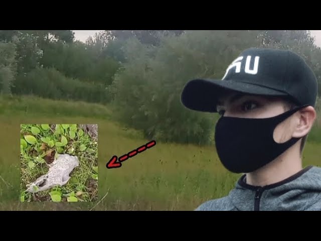 Старое болото где утонула Девушка