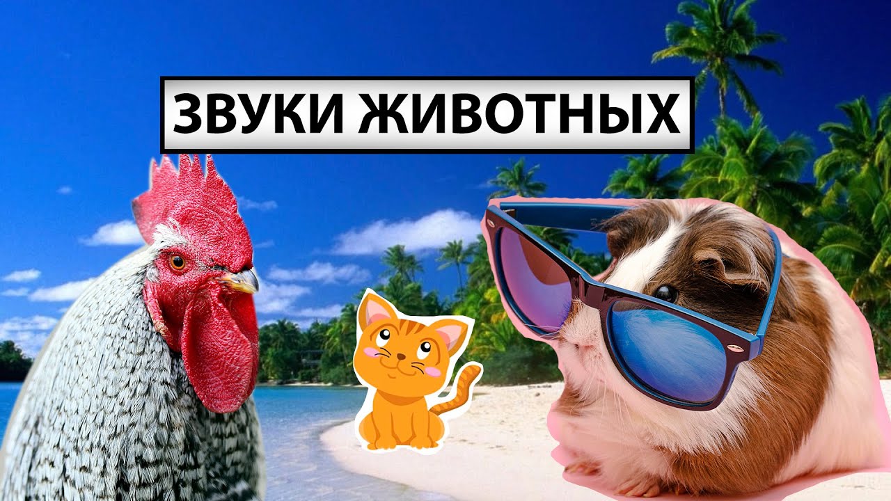 ЗВУКИ СЕЛЬСКОХОЗЯЙСТВЕННЫХ ЖИВОТНЫХ  собака корова лошадь курица свинья