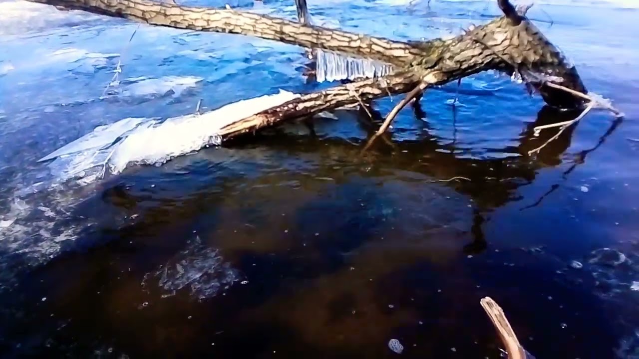 Музыка тающего льда