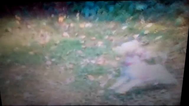 Реакция на песню джины!!!!!!!!!! Сори за плохой звук старалась сделать как можно громче!!!!