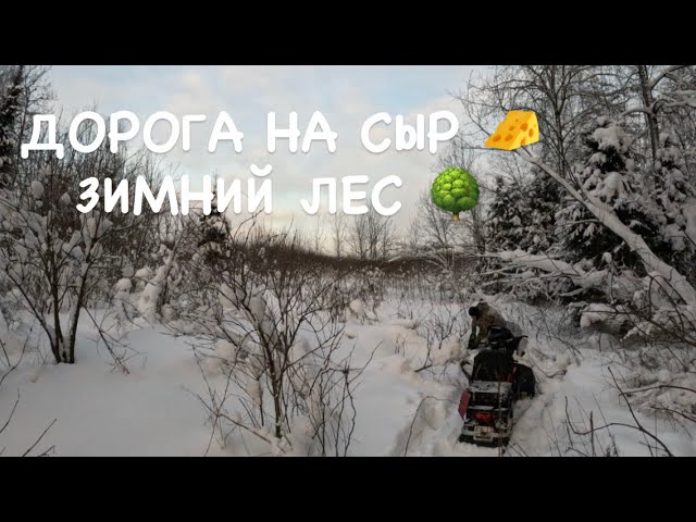 ПО ДОРОГЕ НА СЫР. ПОКАТУШКИ НА СНЕГОХОДАХ.  ЗИМА 