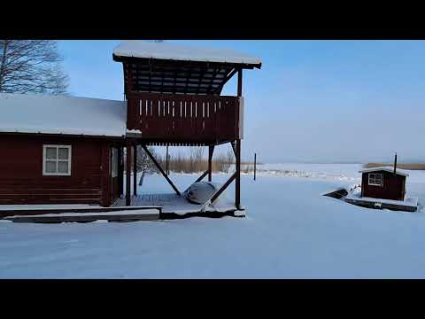 ЗИМА. ЛЕС. РЕКА. ОСТРОВ.29.11.2023