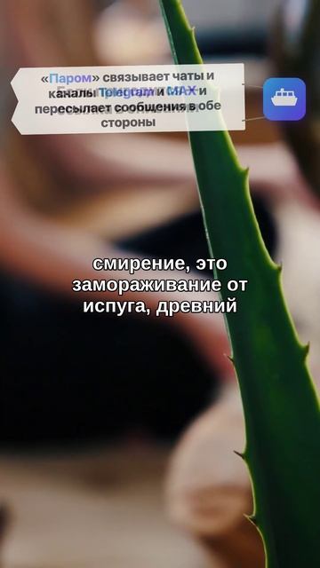 Почему крик и молчание — это одна и та же паника?