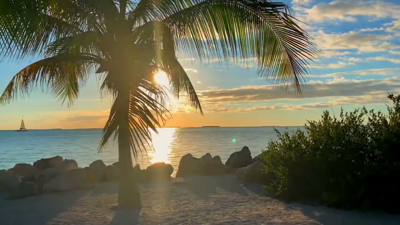 Расслабляющее видео на ночь | Красивые места. Ultra 4K