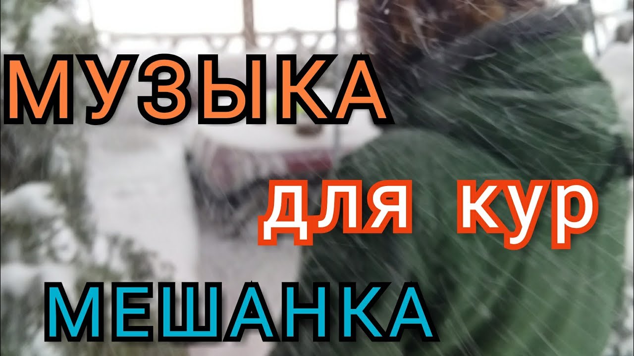 #влог/В Курятниках Тепло и Сухо/Мешанка,Музыка для Кур//Яйценоскость Кур//Снежный Шторм на Кубани!