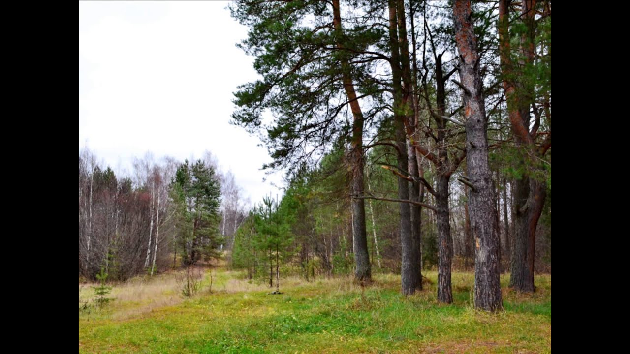 Мелодия поздней осени