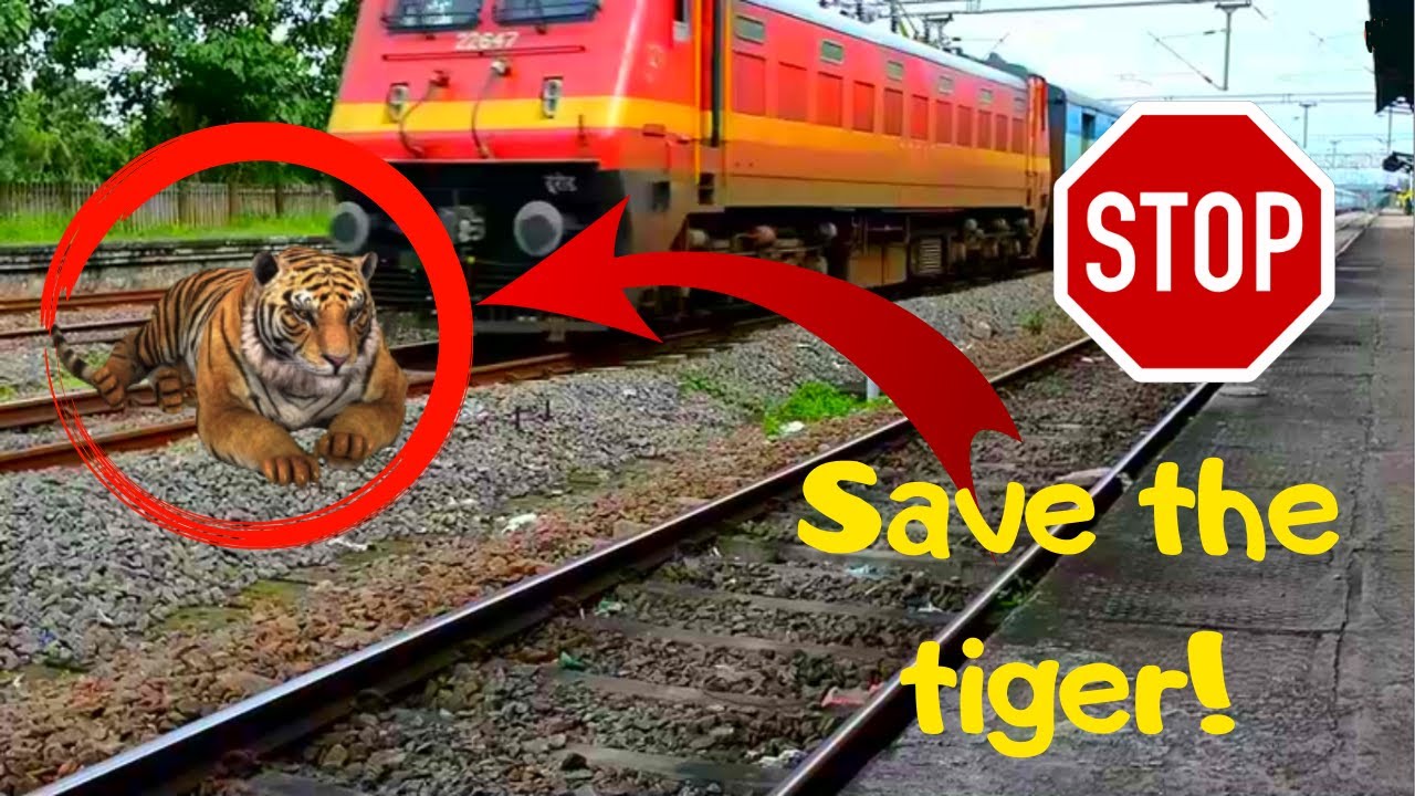 Crazy train tryed to stop and tiger save himself from snake funny  BeamNg drive