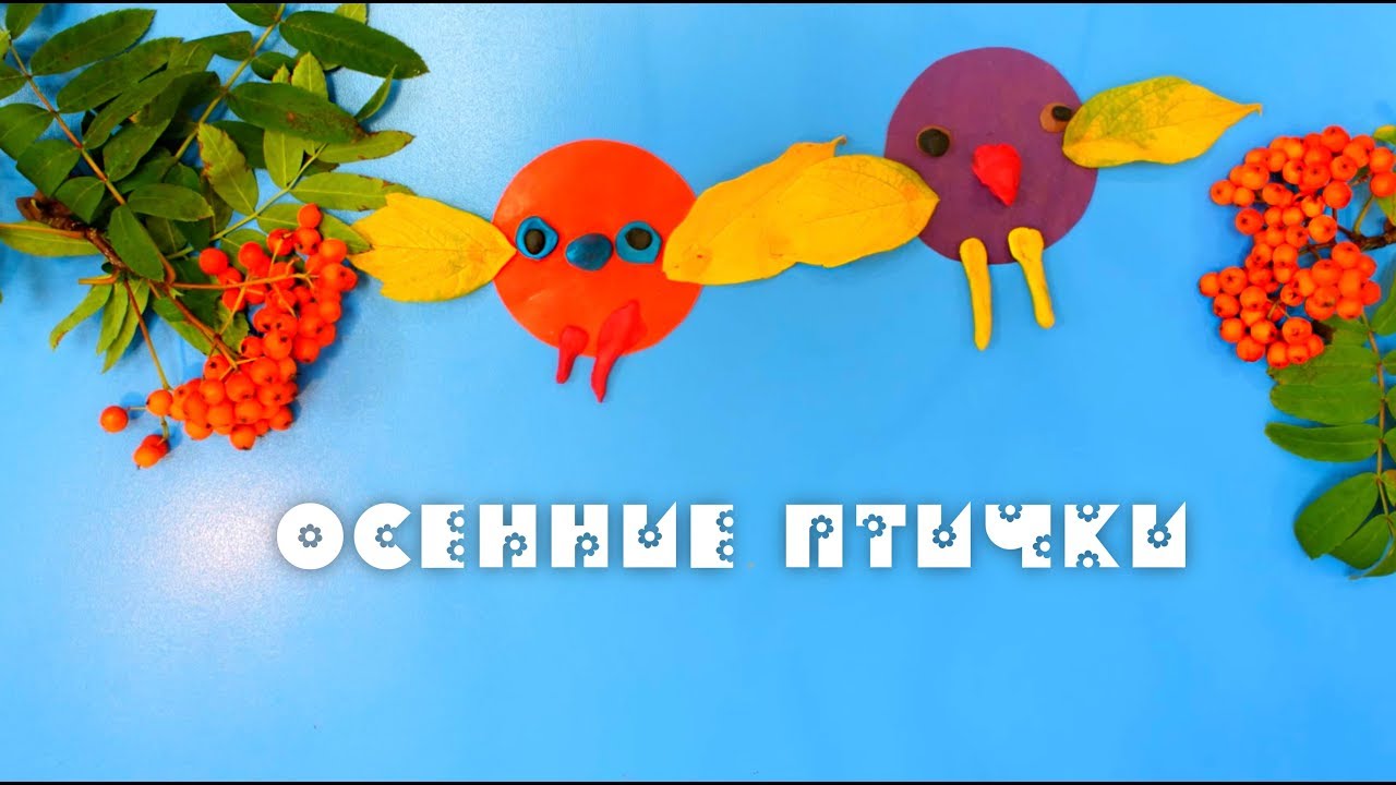 Осенние птички  Лазурный  МультСтудия Академия Волшебников HD 1080p