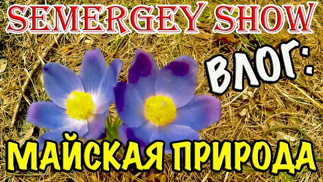 ВЛОГ: МАЙСКАЯ ПРИРОДА