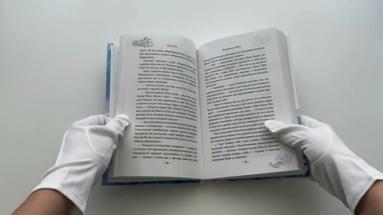 Зеркальные города-близнецы. Книга 2