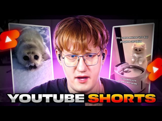 ЭТО МИЛЫЕ ЖИВОТНЫЕ!  ДК СМОТРИТ YOUTUBE SHORTS 16