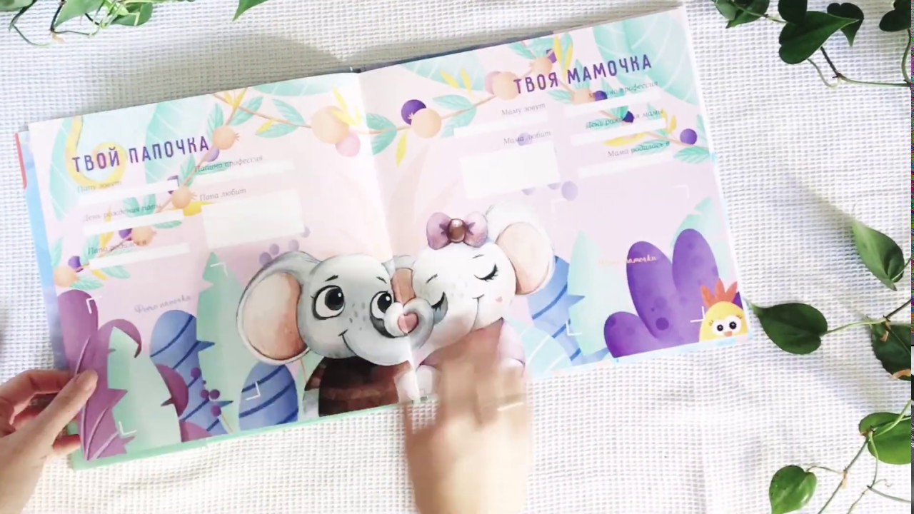 Именной альбом 0-2 для мальчика