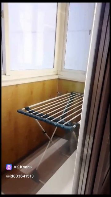 Мои лапушки.