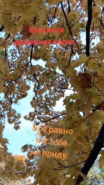 Осень