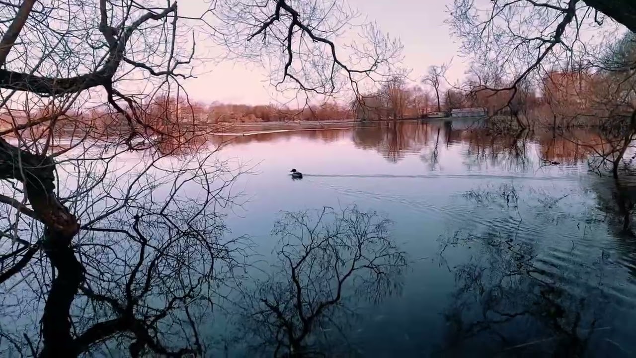 Вода это отражение...