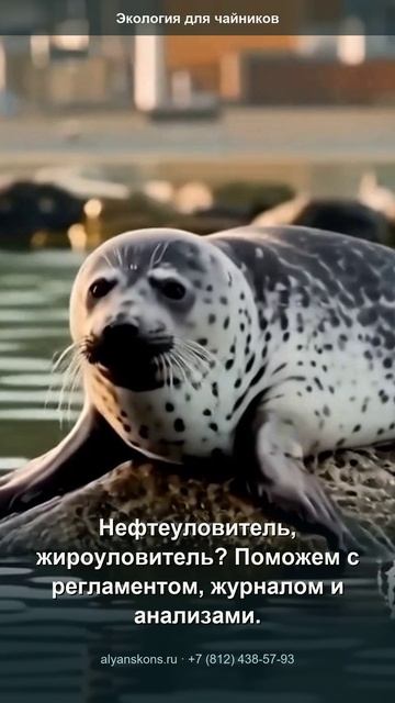 Локальные очистные сооружения предприятия: регламент журнал и контроль очистки