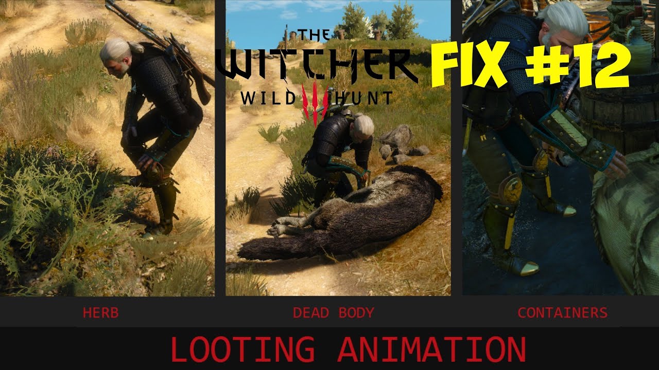 The Witcher 3: Complete Animations