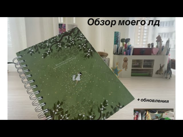 Обзор лд личный дневник покупки канцелярии блокнот тетрадь рабочий стол полки с канцелярий