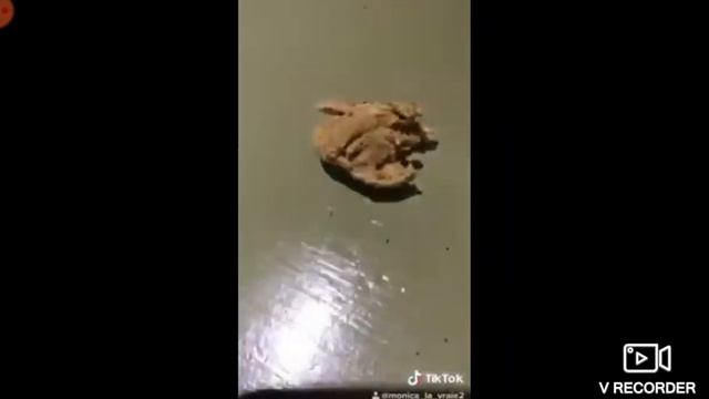 Орео Мем | Trash Tik-Tok Version.