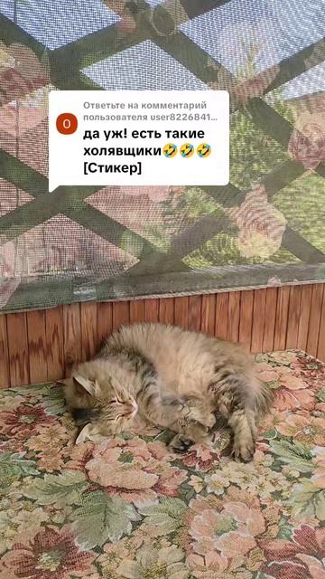Мужчина хочет брать или давать? Вот что важно