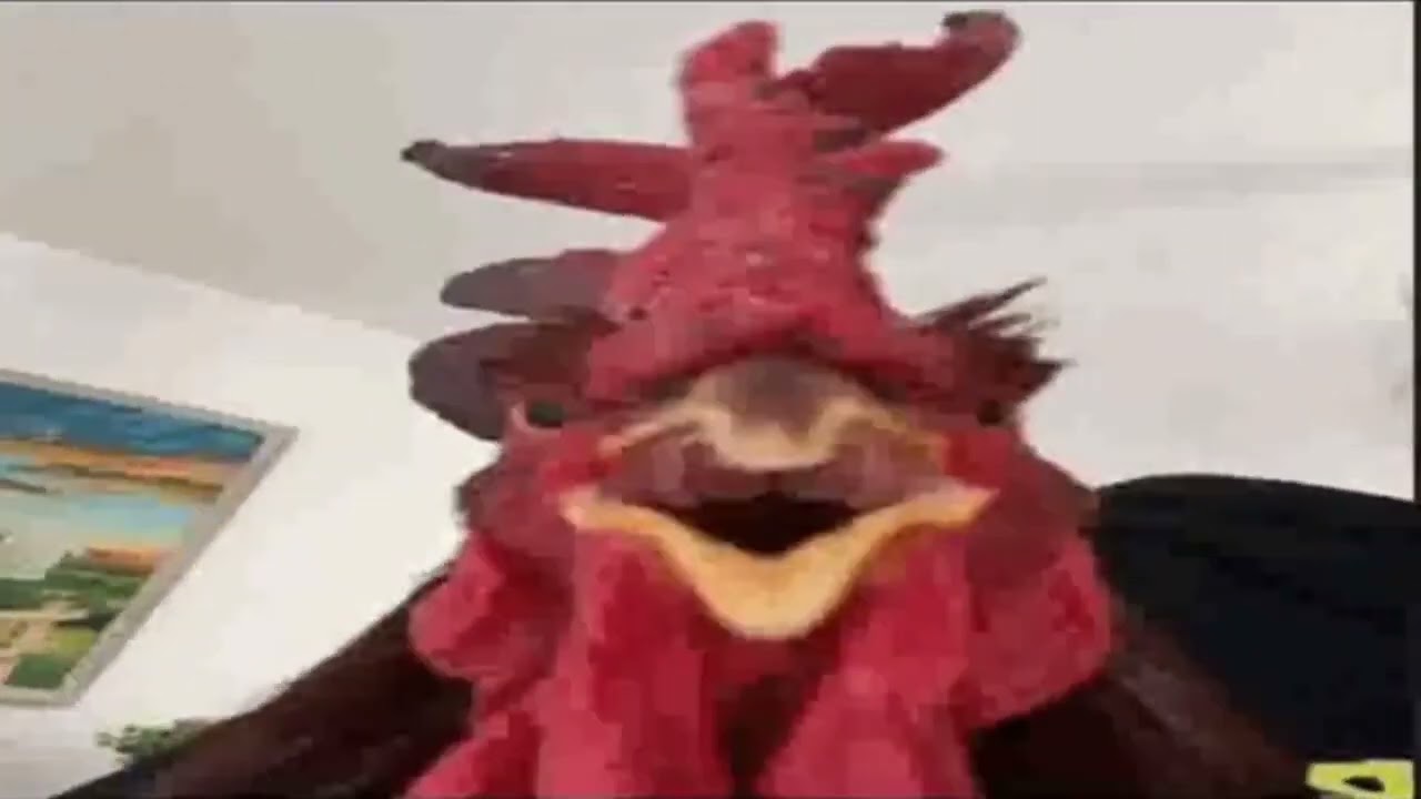 курица говорит