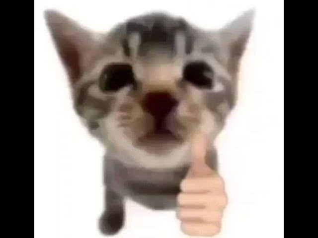 Кот мурчит битый час