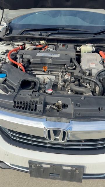 Honda Accord CR7-1001383
