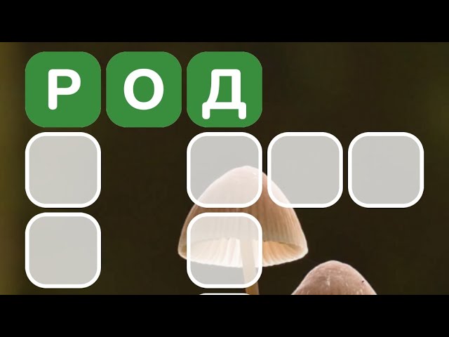 ЧАТ УПРАВЛЯЕТ ИГРОЙ!  Пиши свои ответы в чат! shorts