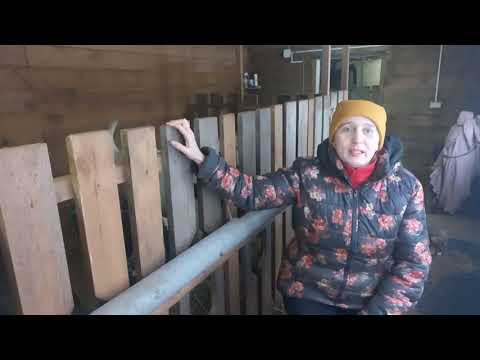 Тестируем беспроводной микрофон в сарае с козами. Нюансы подключения.