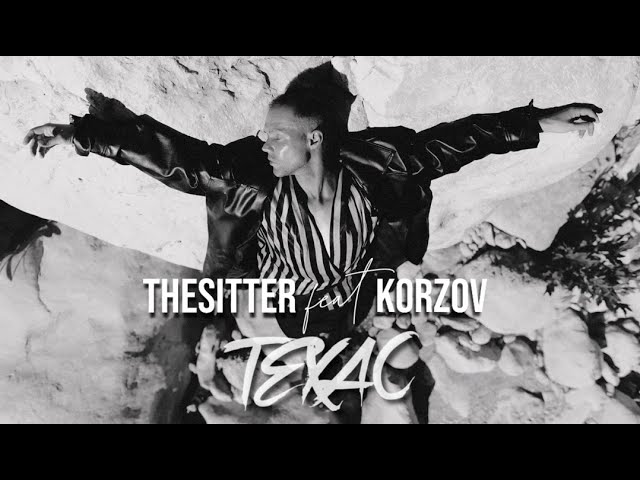 THESITTER  TEXAS