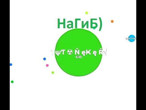 Каточка В Агарио Без Скина