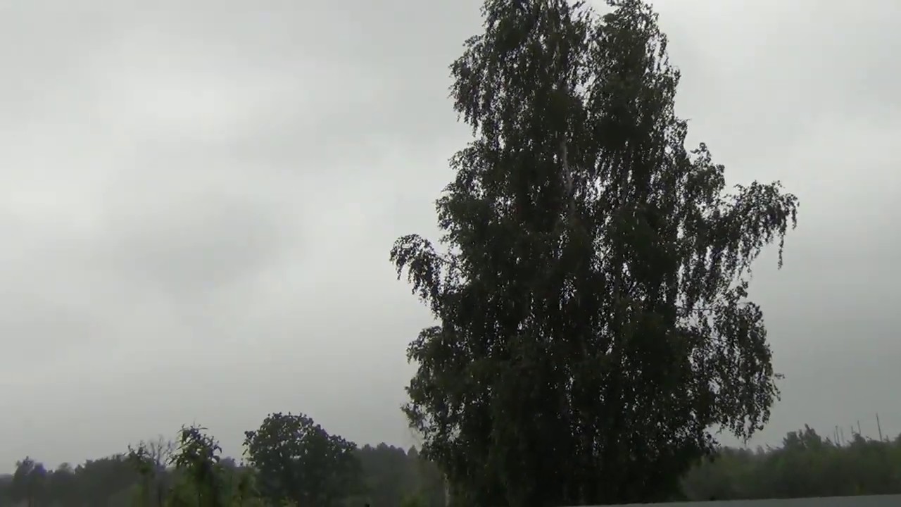 Гроза 12.06.2020 в Подмосковье. Звуки грома. Thunderstorm 12 june 2020 Sounds of thunder.