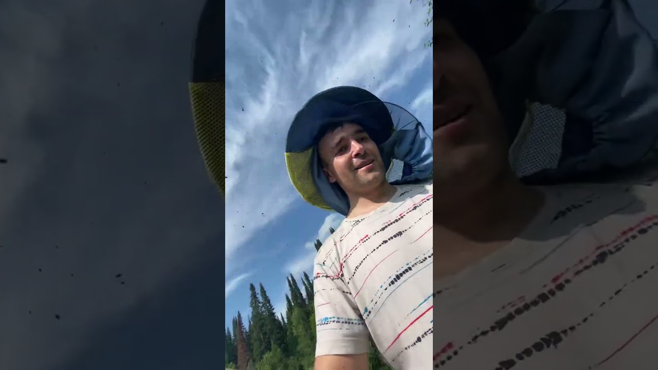 Будни на пасеке гул пчёлжара 35