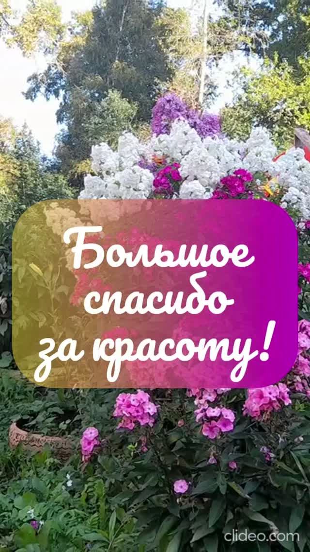 ЛЕНИНА 27 БХЛ 7.6