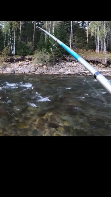 1000079312.mp4