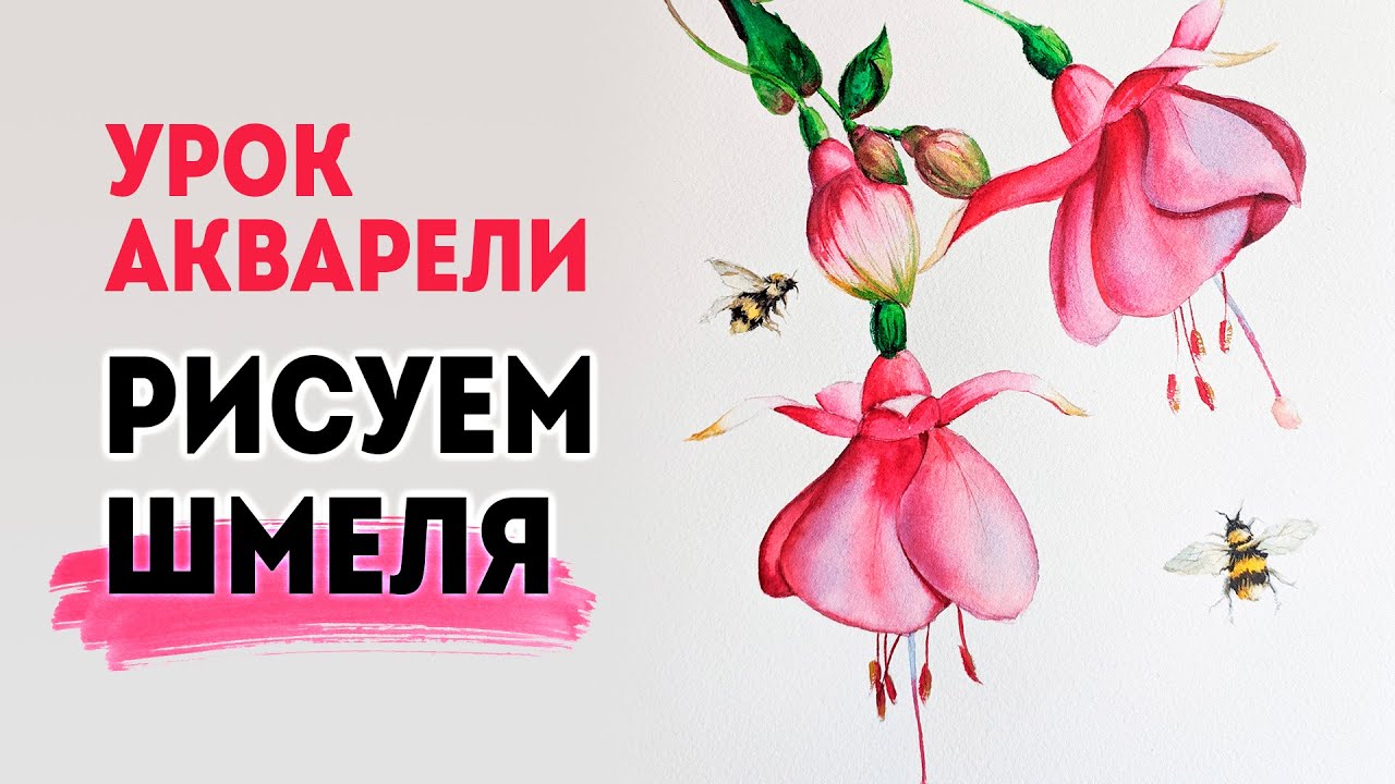Ботаническая иллюстрация - урок акварели