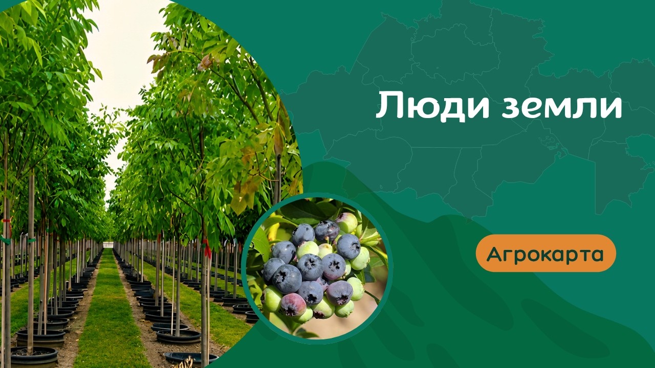 Настоящее фермерство: от растения до большого урожая | AGROKARTA