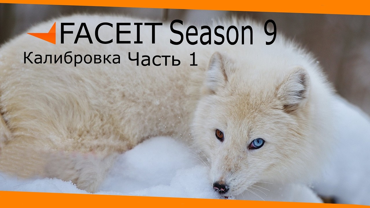 Лис на FACEIT season 9 калибровка часть 1  Espiral  M4rkim
