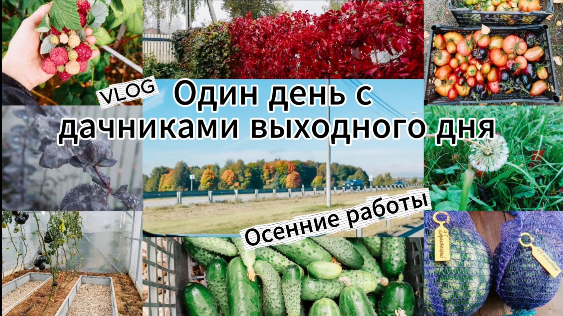 Осенние работы в огороде. Как все успеть за один день?