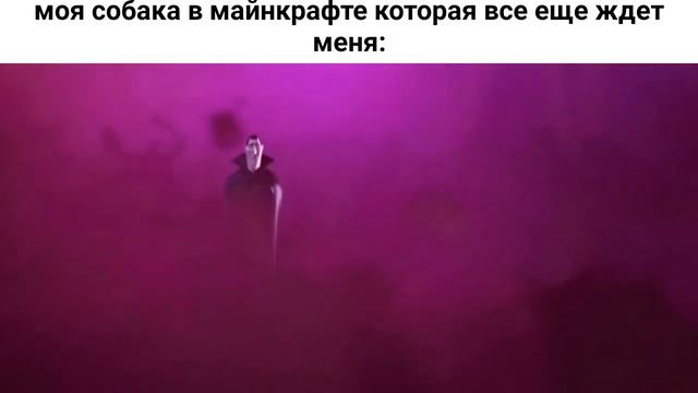 когда занялся учёбой