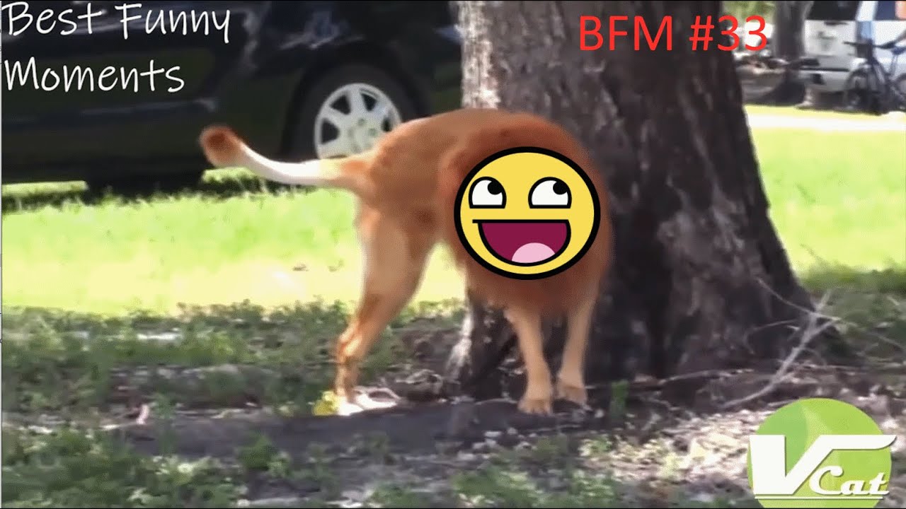BFM - 33 Мы не знаем что это такое если бы мы знали что это такое но мы не знаем что это такое