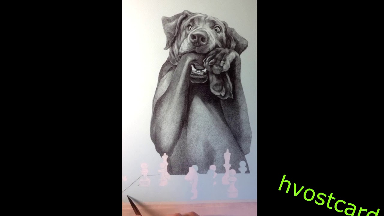 часть№5_Испуг!..рисунок к открытке №25