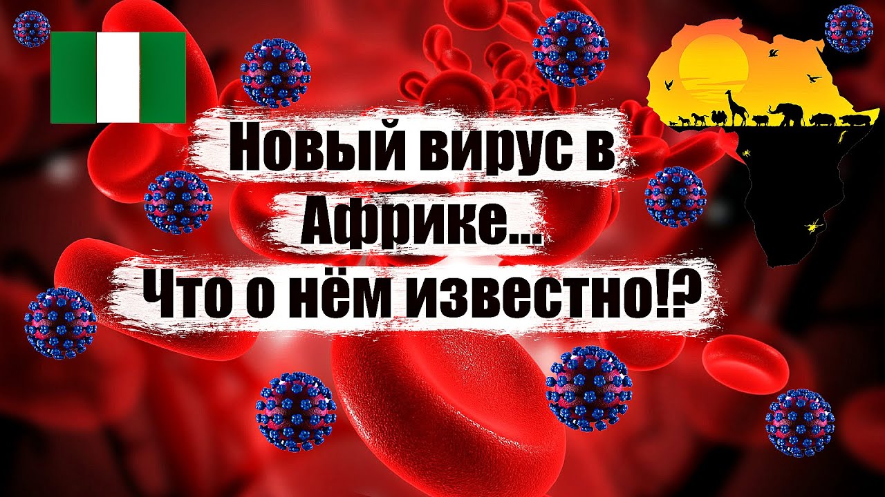 Новый опасный вирус в Африке...Что о нём известно? По стопам коронавируса.
