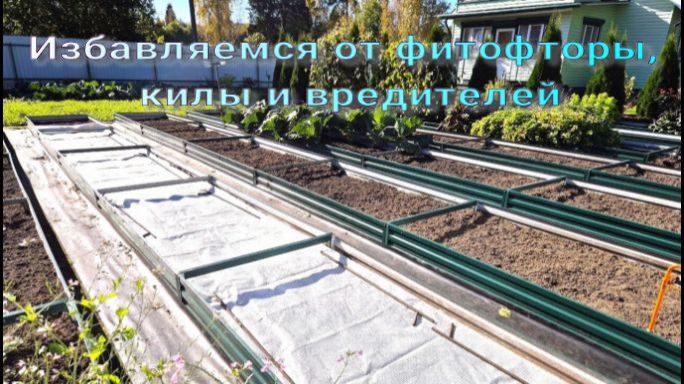 Чем обработать грядки осенью?