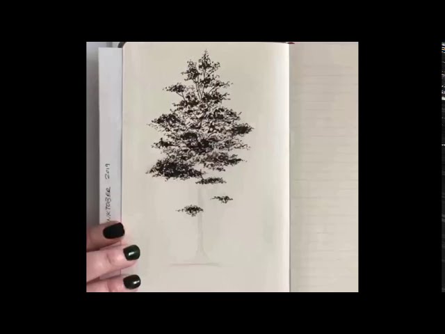 Как нарисовать дерево пером гелевой ручкой. Шеннон Перри Tree Drawing in Pen by Shannon Perrie