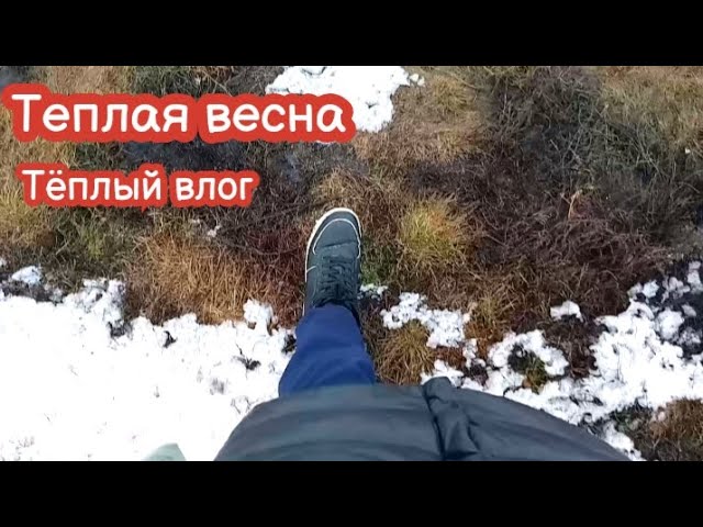 VLOG Весна в деревне. Кот Тоша