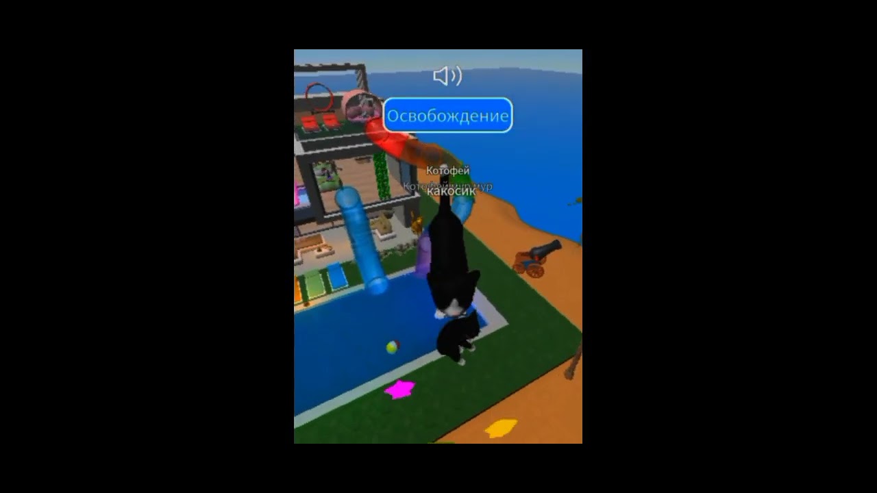 игра-игра котенок научился делать обратную съемку shortsroblox
