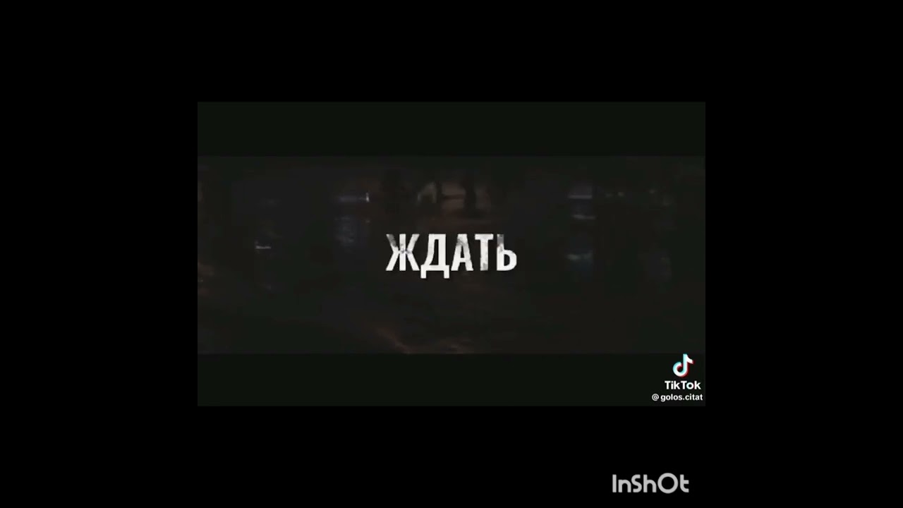 пряникс что такое жизнь