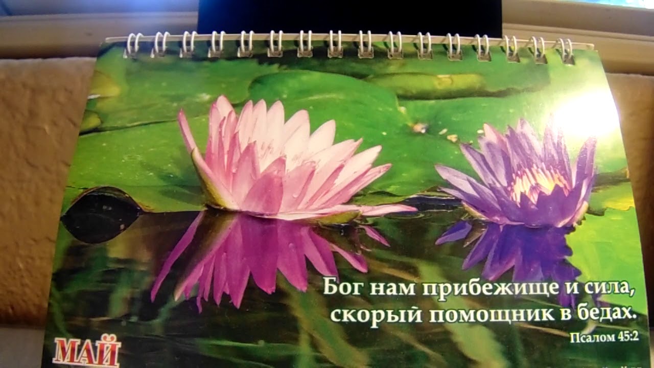 Ответы на вопросы Май 2020 Даниэль Нистар