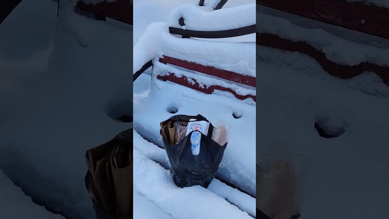 Все тропинки все дорожки замело! зима природа Снегвлог 